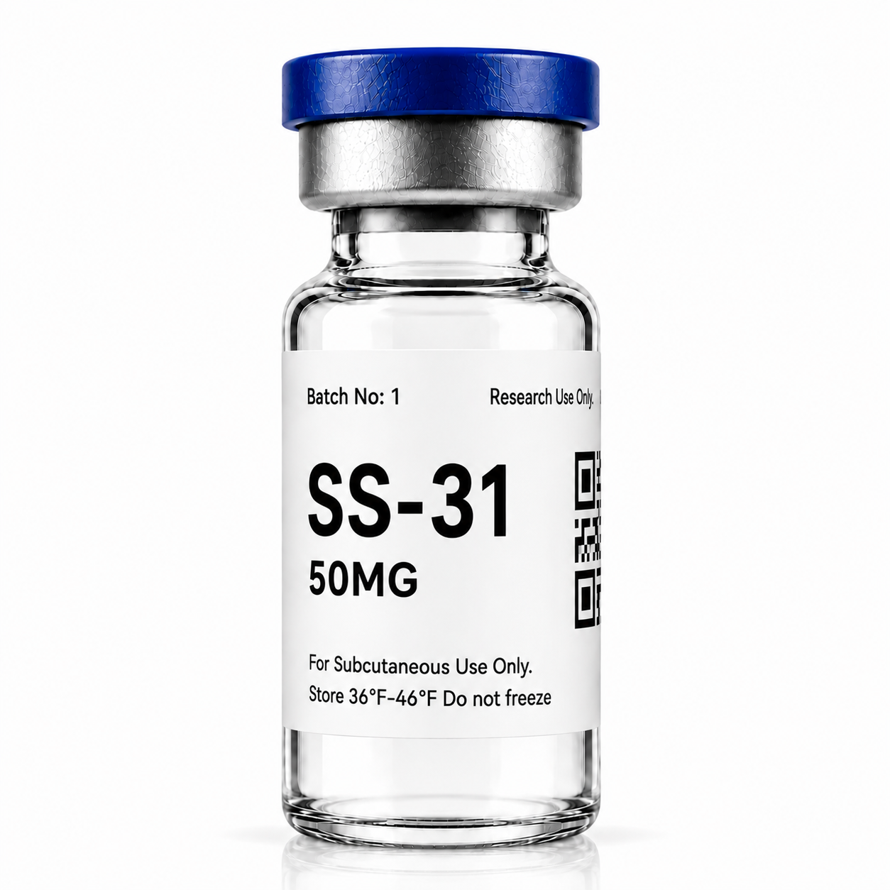 SS31